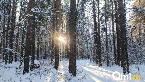 В Омской области готовят технику к новому лесопожарному сезону