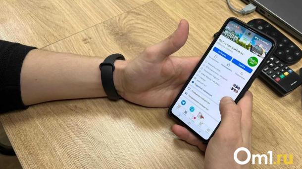 Россиянам разрешили покупать табак и алкоголь через МАХ