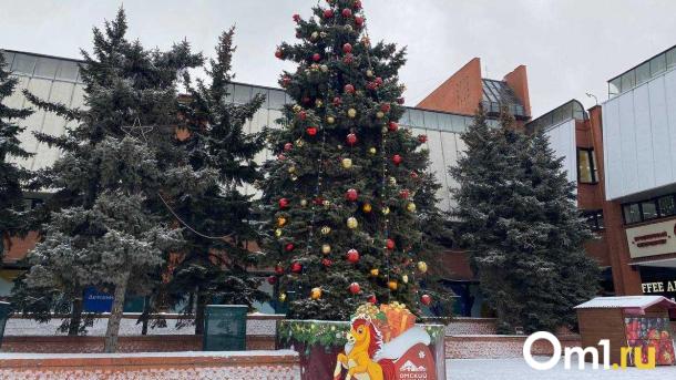 Куда звонить в Омске на 12-дневных новогодних каникулах