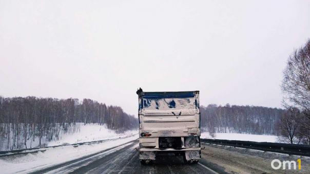 В Омскую область не пустили 16 тонн куриной печёнки
