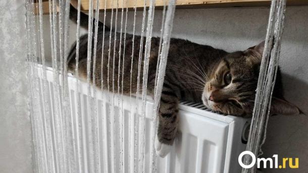 Мэрия потратит полмиллиарда, чтобы омичи на юге не мёрзли