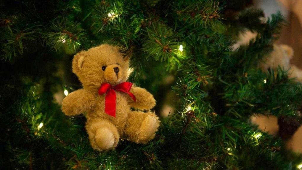 Сотрудники ГК Титан провели ежегодную благотворительную акцию Новогоднее чудо