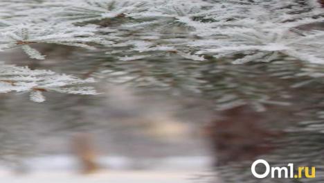 Новосибирские спасатели объяснили, как спиртное влияет на организм в холод