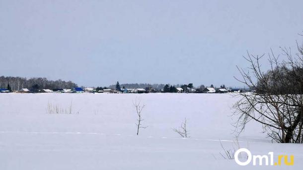 В Омском районе в 2026 году будут регулярно летать беспилотники