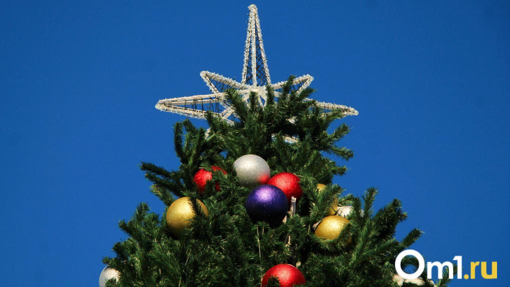 Владимир Путин и Михаил Мишустин поздравили омичей с Новым годом и Рождеством