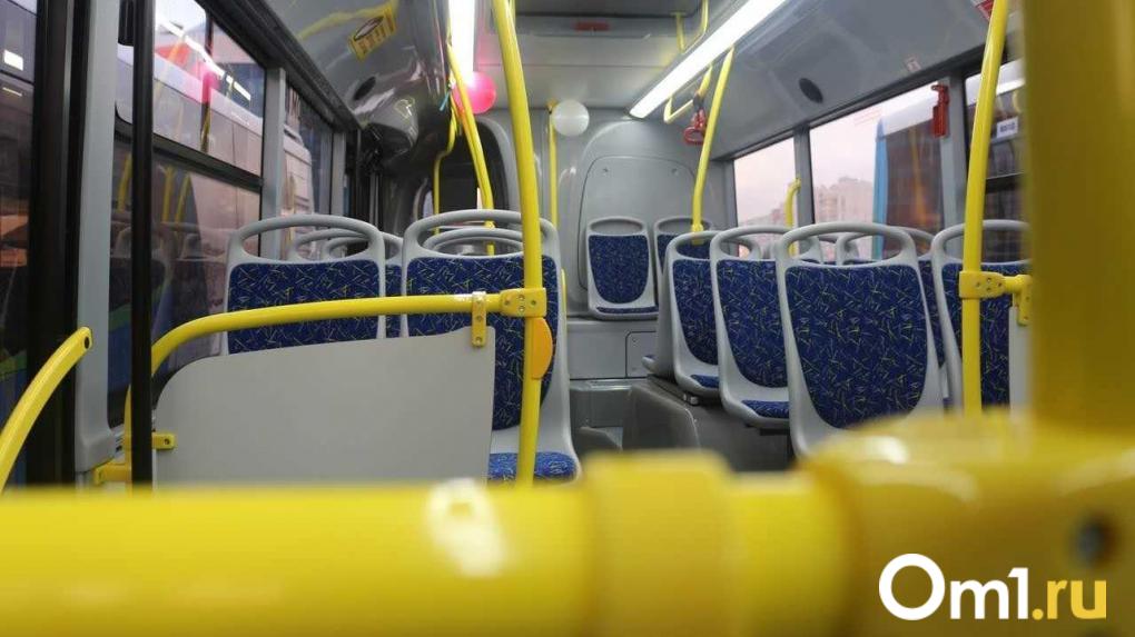 Сразу сообщите! Омичей попросили не игнорировать подозрительные предметы во время празднования Нового года