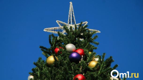 Владимир Путин и Михаил Мишустин поздравили омичей с Новым годом и Рождеством