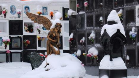 40 хвойных деревьев, 20 торговых объектов и 15 бесхозных машин: что убрали с кладбищ Новосибирска