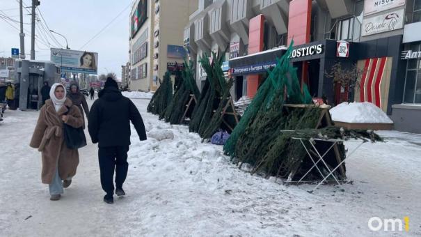 Новосибирск: 30% новогодних ёлок останутся на базарах после праздников