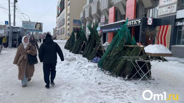 Новосибирск: 30% новогодних ёлок останутся на базарах после праздников