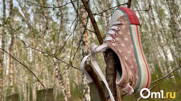 В Омской области за 2025 год пропали более 500 человек