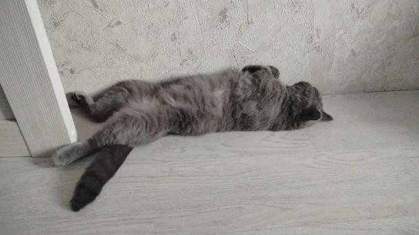 Вернуть сон за 4 дня: Новосибирцам рассказали, как вернуть режим после праздников