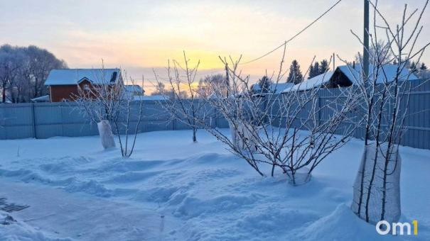 Рождество в Омске пройдёт с метелями и похолоданием: где ждать снег и сильный ветер