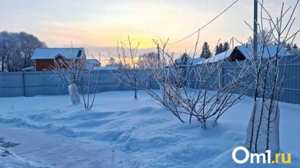 Рождество в Омске пройдёт с метелями и похолоданием: где ждать снег и сильный ветер