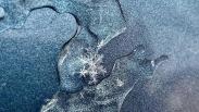 Спасатели МАСС предупредили рыбаков Новосибирска об опасности тонкого льда
