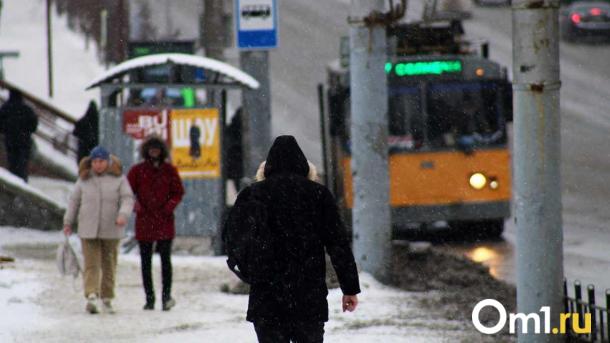 Перед Новым годом в Омской области пропали 84 человека