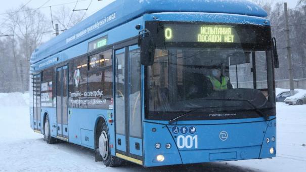 Снегопад заблокировал 4 автобуса с 170 пассажирами на трассе под Новосибирском