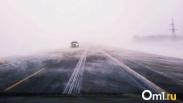Первая рабочая неделя в году начнётся с мощной метели в Омской области: где пройдёт снег?