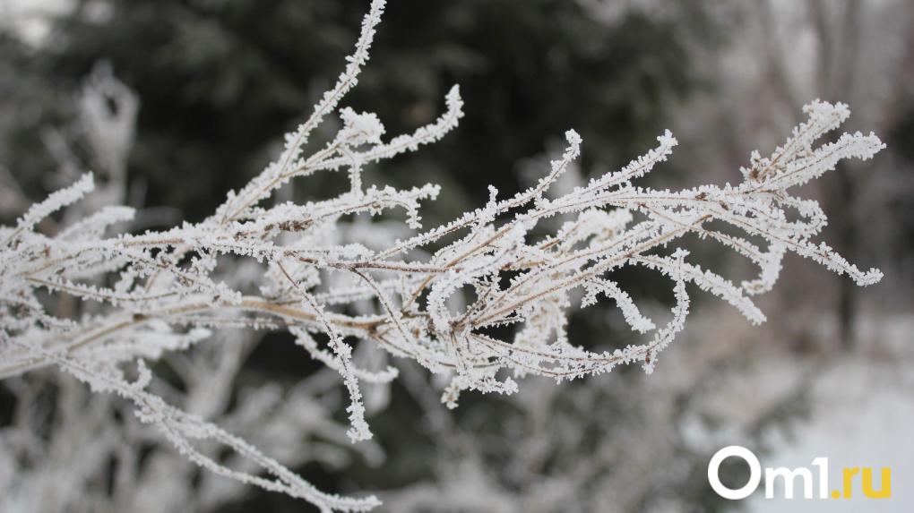 Арктический холод: Омск накроют затяжные морозы до 38 градусов