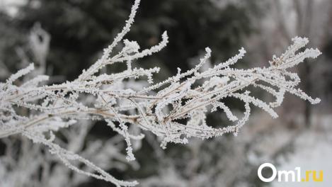 Арктический холод: Омск накроют затяжные морозы до –38 градусов