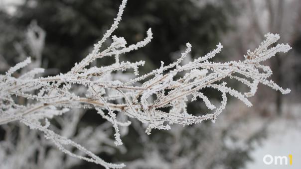 Арктический холод: Омск накроют затяжные морозы до –38 градусов