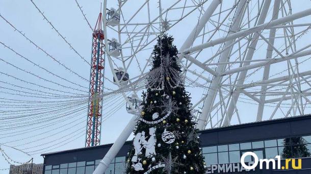 Омская область претендует на финал конкурса «Ёлки России»