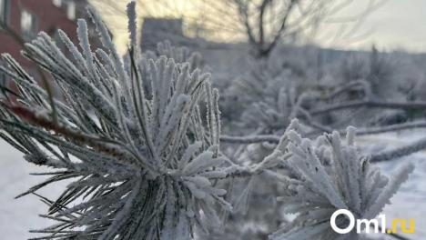Официально: в Омской области ударят 40-градусные морозы