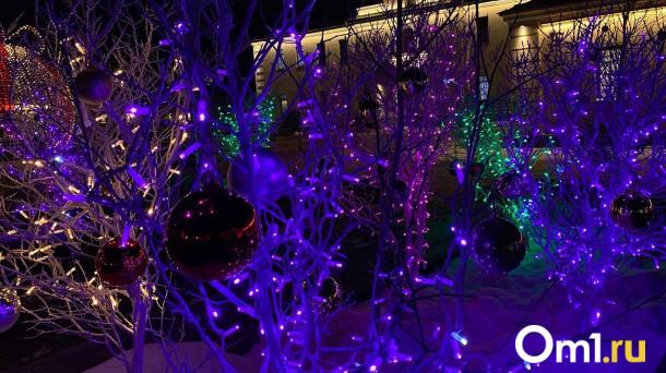 Около 80 тысяч омичей побывали на «Зимнем Любинском»