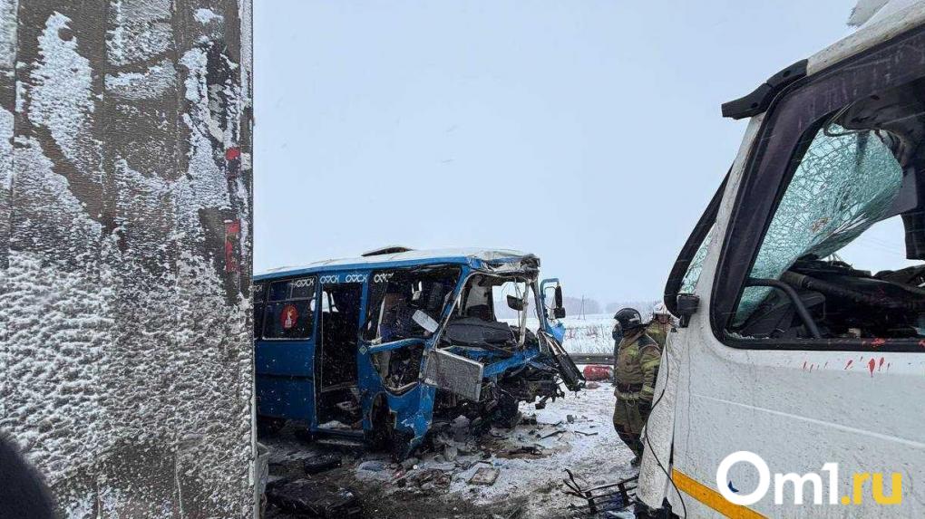 Стало известно о состоянии водителя, устроившего смертельное ДТП с автобусом на трассе Тюмень  Омск
