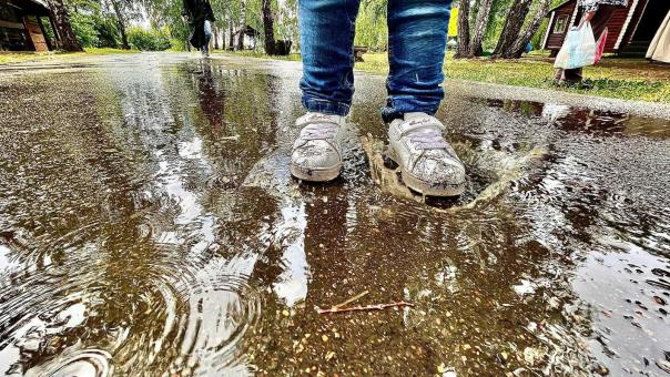 В Новосибирской области ищут 14-летнего Александра: он ушёл гулять 7 января