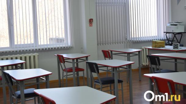 В Омской области из-за морозов школьников будут освобождать от занятий