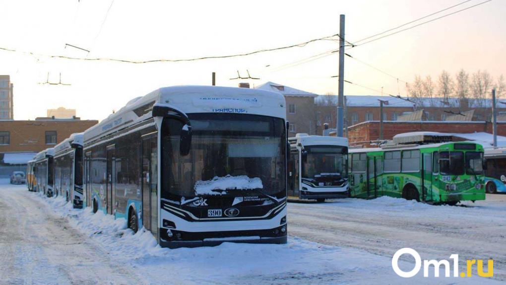 Сокращённый день и перерывы: как должны работать омичи в морозы