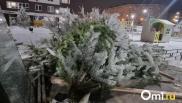 Штраф до 5 000: омичам напомнили, как правильно утилизировать новогоднюю ёлку