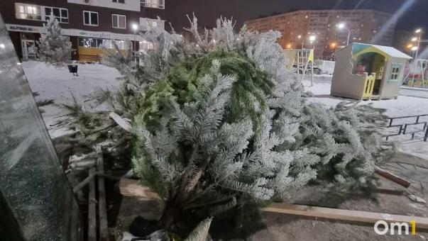 Штраф до 5 000: омичам напомнили, как правильно утилизировать новогоднюю ёлку