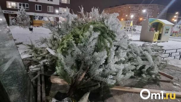 Штраф до 5 000: омичам напомнили, как правильно утилизировать новогоднюю ёлку