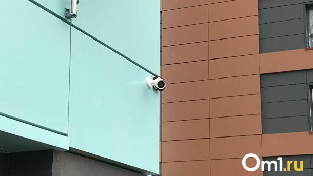 Директор новосибирской школы рассказала об установке видеокамер в туалетах