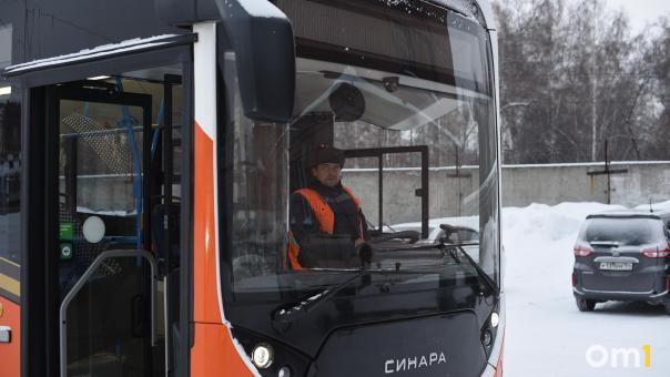 Троллейбусы, автобусы, трамваи: какой наземный транспорт новосибирцы полюбили больше всего?