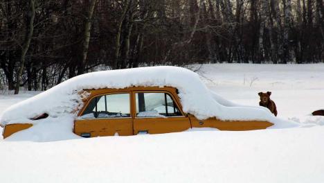 Продажи б/у авто в Новосибирске упали на 4% — какая марка остаётся самой продаваемой на рынке?