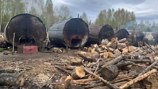 В Омской области закрыли нелегальное производство древесного угля