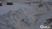 Не дождался помощи: новосибирец сам очистил улицу от снега