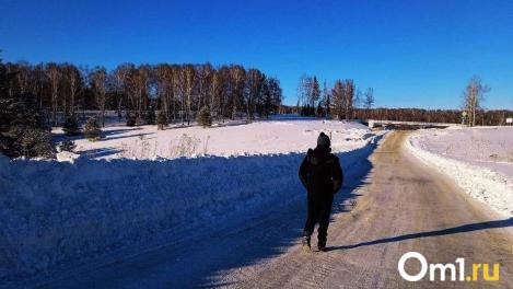 В Омске утром 15 января температура упала до -31,4°. Для школьников вводят особый режим