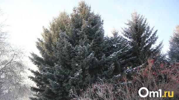 В Омске ищут инвестора для реконструкции парка 300-летия