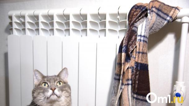 Омичам рассказали, куда обращаться, если в квартире холодно