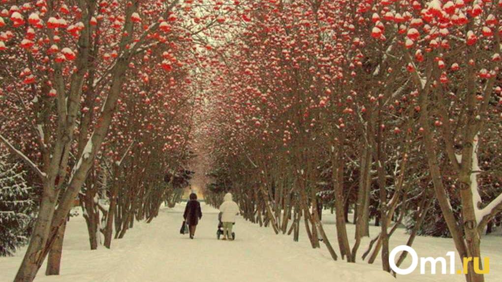 Парк Трёхсотлетия как источник бесценного опыта. Размышления омича о том, что иногда стоит думать сильно заранее