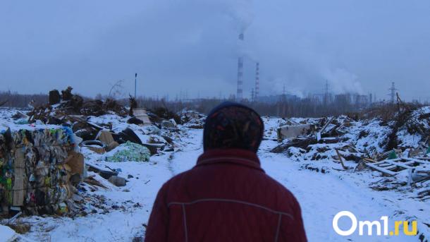 Омская область стала единственной в Сибири, где стало меньше мусора
