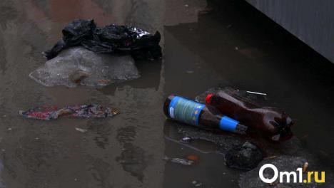 Омичи стали радикально меньше нарушать правила благоустройства