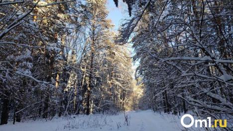 Синоптики рассказали, какой будет погода в Новосибирске на выходные