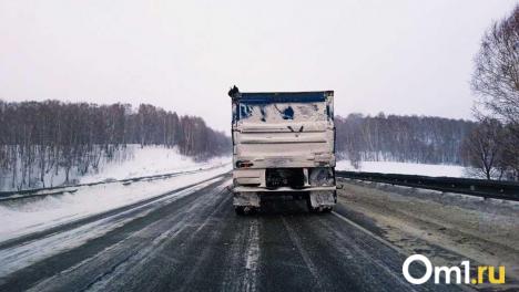 Почти 9 тонн опасного мяса попытались незаконно вывезти из Омской области