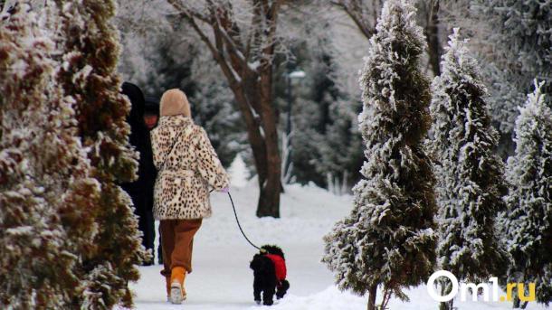 Антициклон ослабевает: в Омской области морозы отступят до -15 градусов