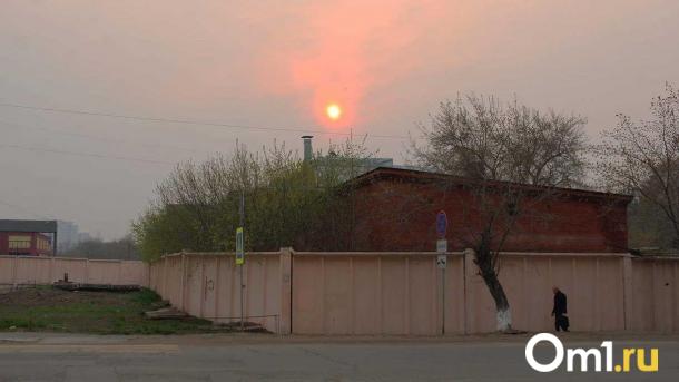 В Омске предприятия выбрасывают 221 тысячу тонн вредных веществ в год